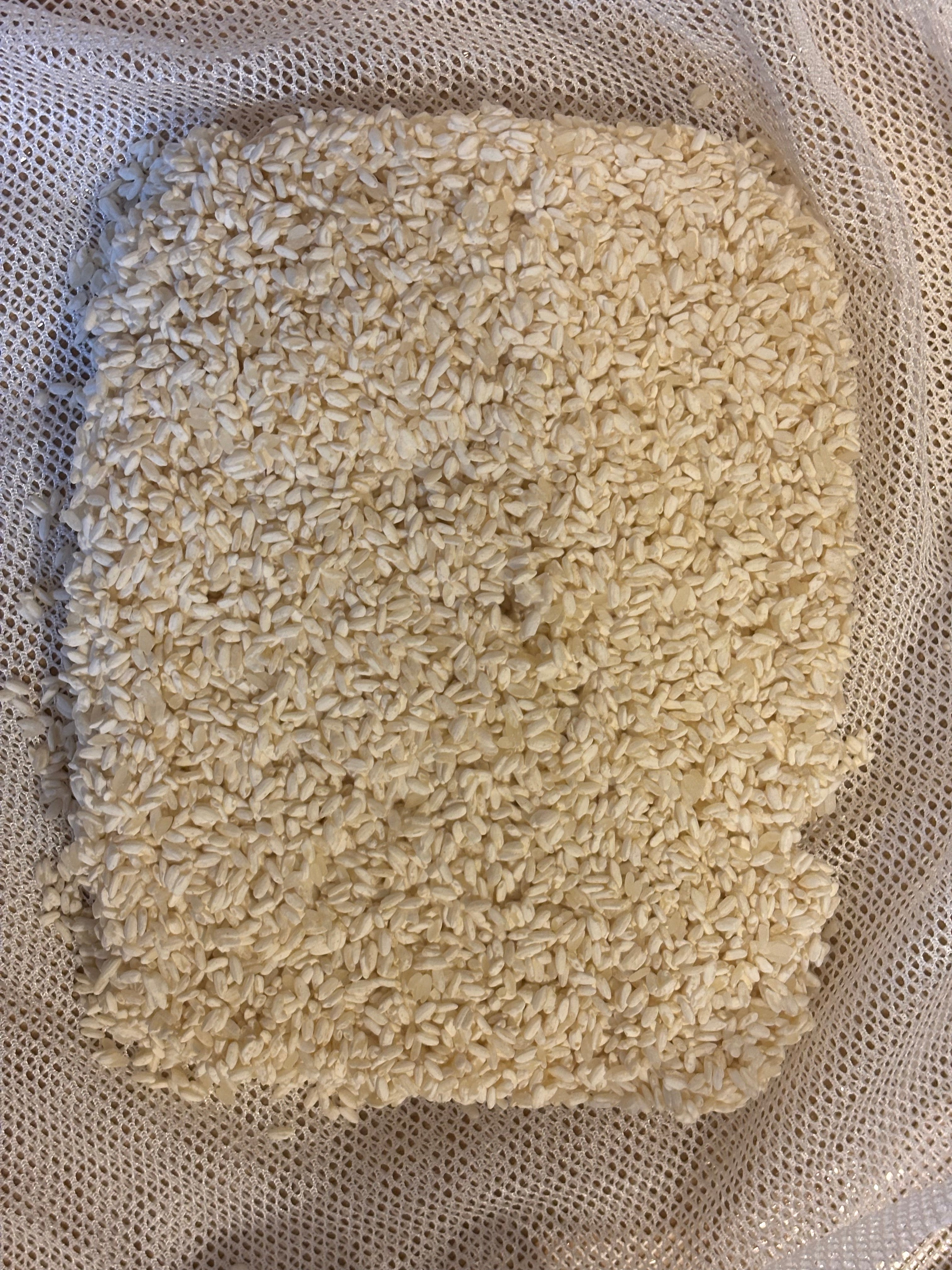 Frozen Fresh Koji (1KG)
