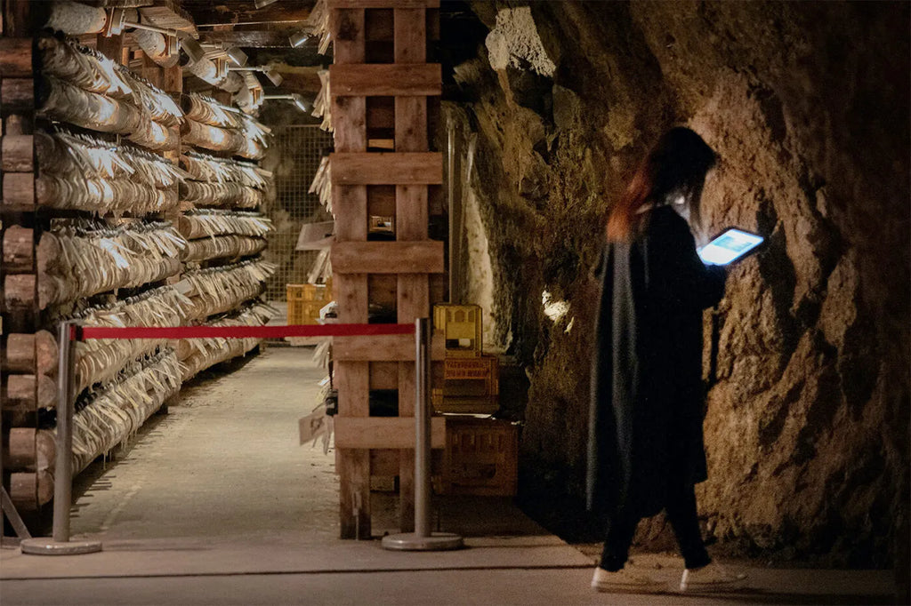 The Kanto Experience (Tour - Autumn 2026)