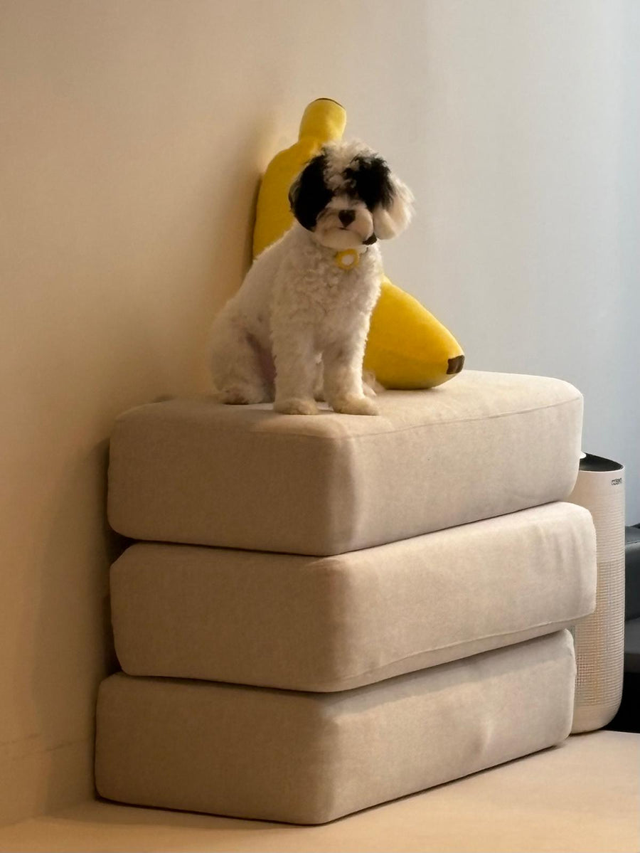 Masamune, our COO
