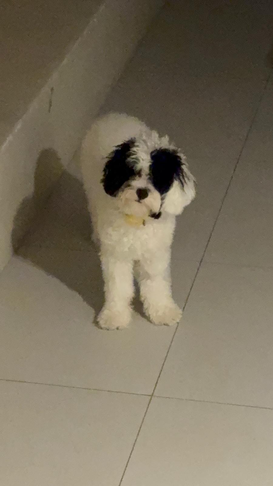 Masamune, our COO