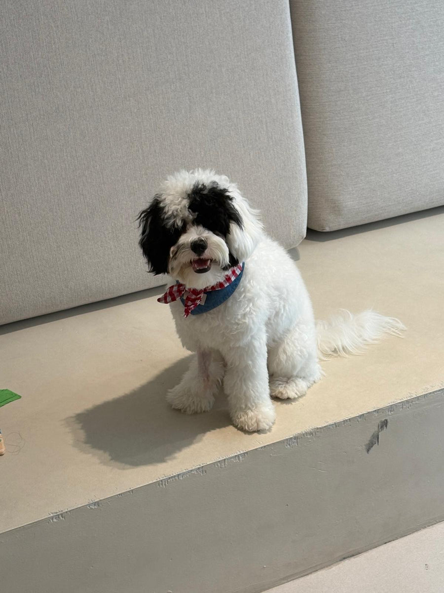 Masamune, our COO