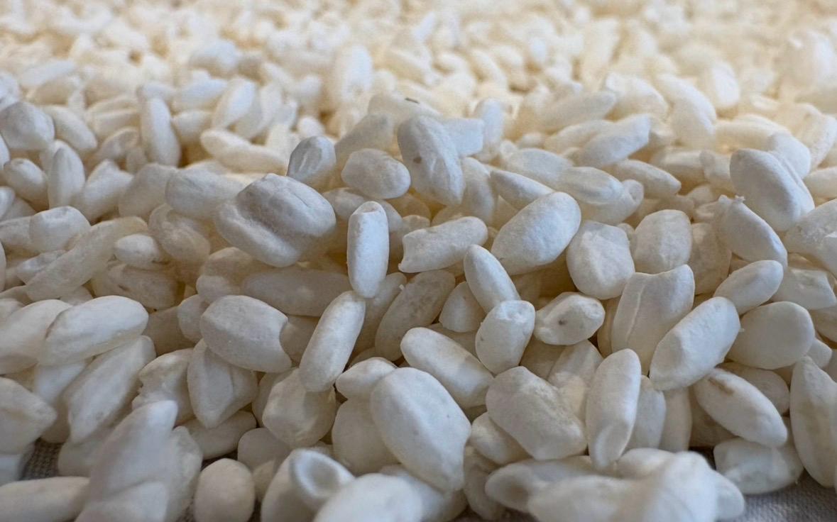 Rice Koji — handmade, vacuum-sealed
